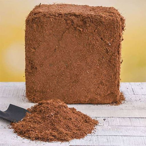 COCOPEAT(5 KG)