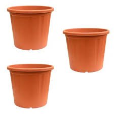 10 inch pot